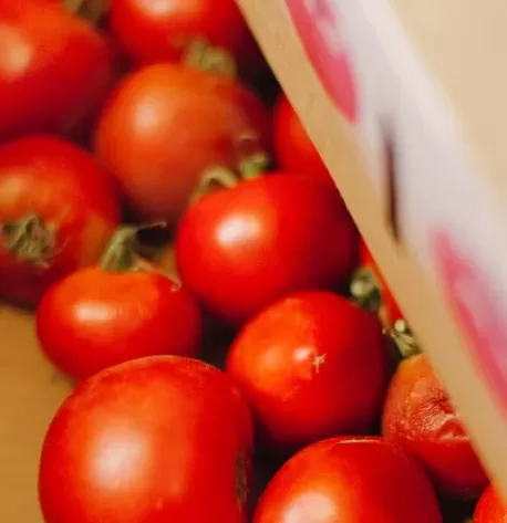 Backdoor Bistro Fresh Tomatoes